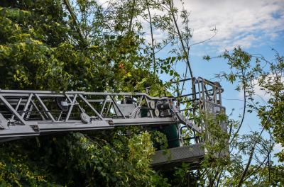 Weinstadt-Grossheppach: Baum droht umzustuerzen - Feuerwehr beseitigt Baum